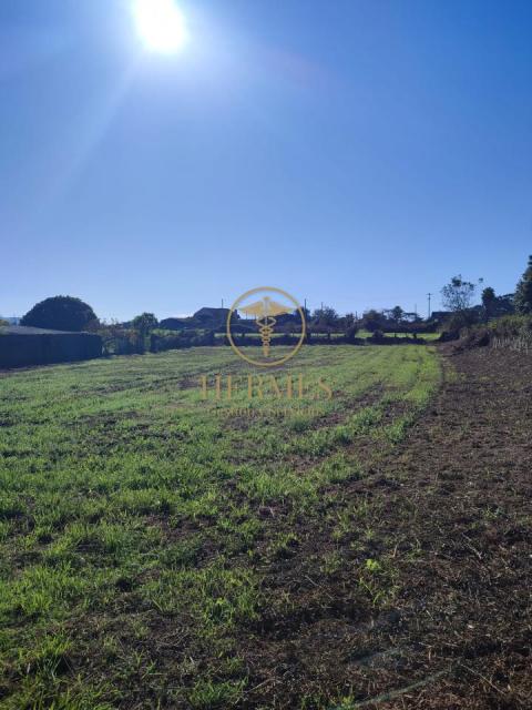 Solar en venta, a 900 m  del centro de Tui.